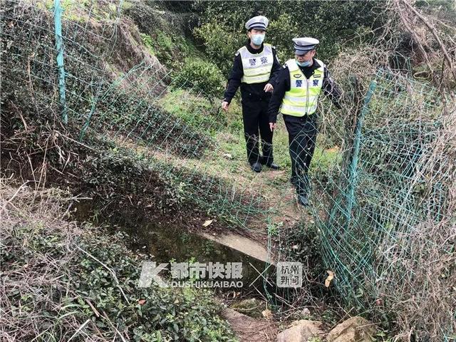 浙江五个妇女结伴横穿高速挖野菜，年轻司机“生死避让”撞上护栏……